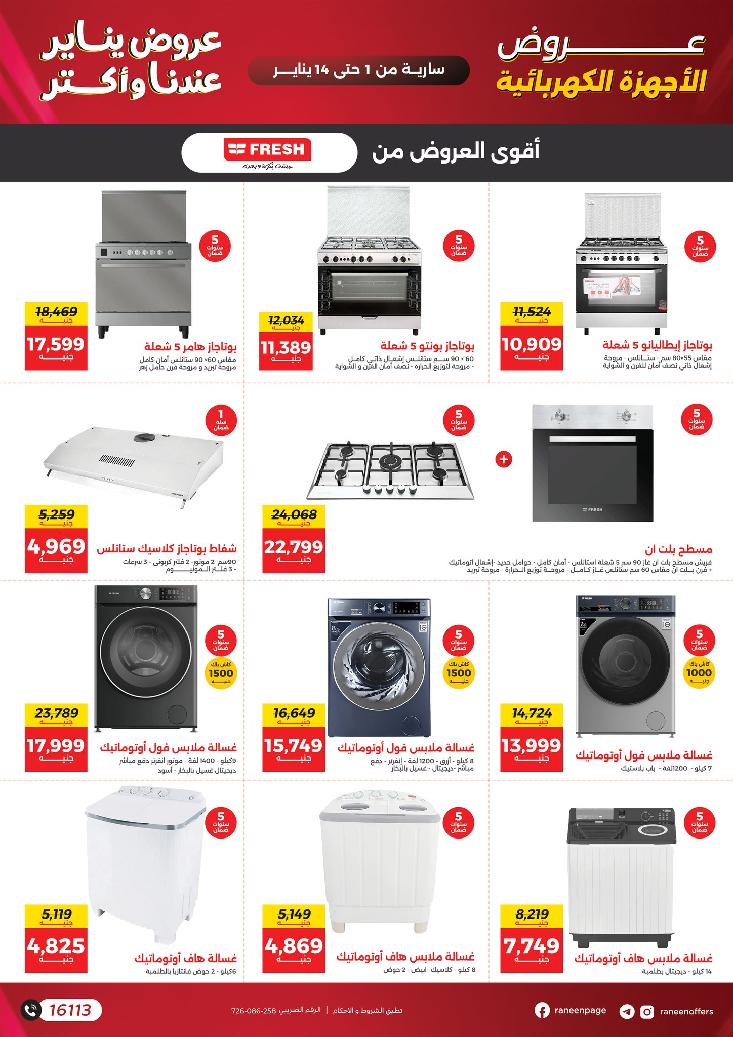 عروض رنين صفحة رقم 31